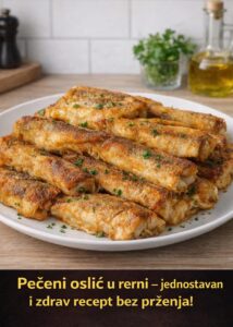 638163238_10230668352562690_9177806279958261384_n