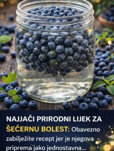 642865497_122184475898763532_7674285581612507920_n