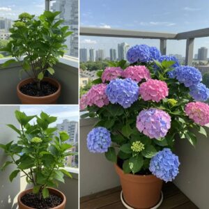 647300302_26274162052216855_3697495233172133217_n