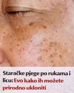 655354115_1365482525606881_8098261894080411523_n