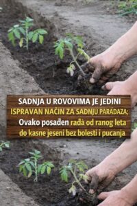 657314701_122115794937242135_6062956447136812735_n