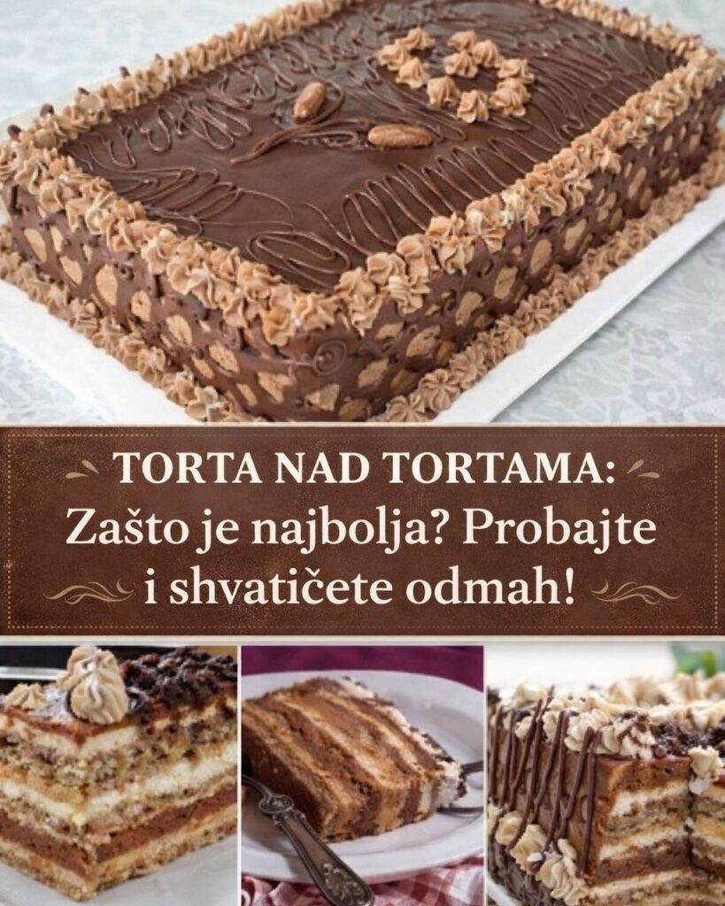 657696549_1374253654729768_8222675880308131197_n