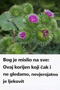 658167655_122188950662597026_5866422540013805409_n