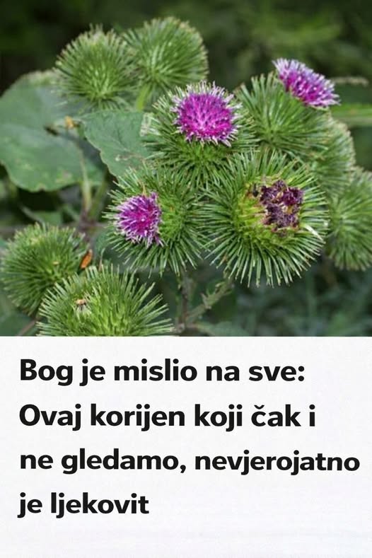 658167655_122188950662597026_5866422540013805409_n