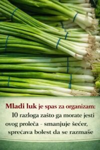 658669742_122107008519277128_6440025678634027403_n