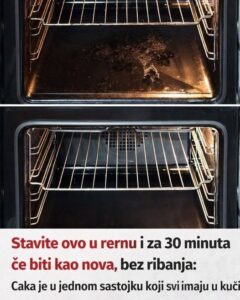 659096000_1376691837819283_826272728452272679_n