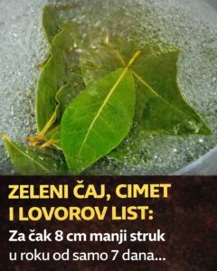 659793708_2617909148605466_3108854923484354277_n