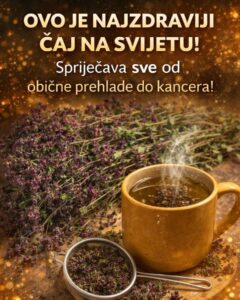 660098674_1523641005791516_3548823681802471351_n