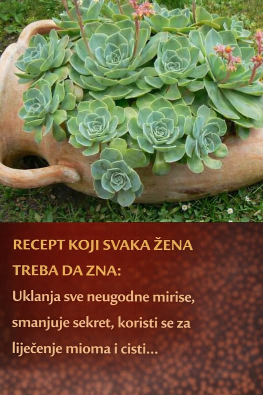 660275469_122176676474751856_2378396425399506619_n