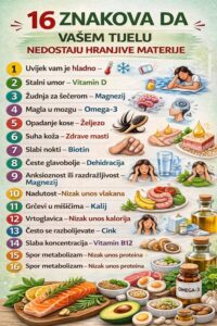 662045346_1540412427645468_6104074801947497892_n