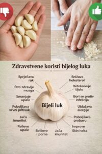 662510370_1261090452791564_622161392629039029_n