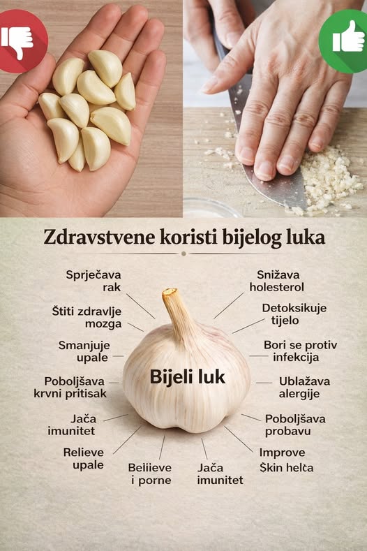 662510370_1261090452791564_622161392629039029_n