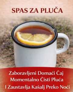 662719838_1456830819816774_514743774383556286_n