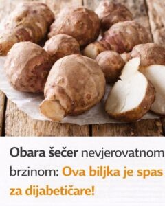 667904945_1457492643083925_6539538220942901884_n