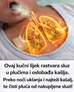 670324685_1256185356670064_6022607130064033238_n