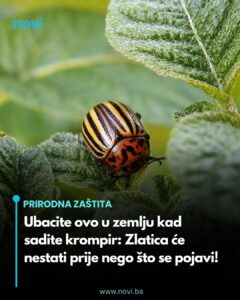 670446224_955620403761286_6706303989402974674_n