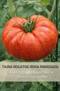 670490861_122118624189242135_726237005475854961_n