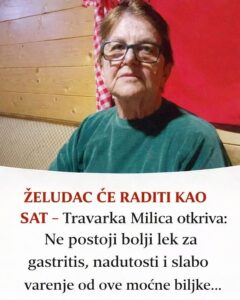 671457770_1386463726842094_1489126835571753915_n