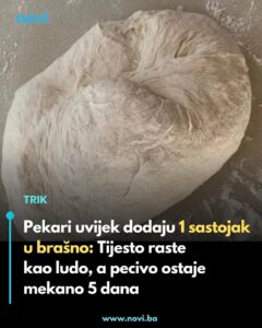 671652685_1409781804509230_1211649604012042660_n (1)