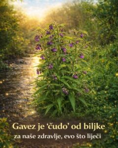 671746263_122191596074763532_912713647198453723_n