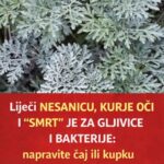LIJEČI NESANICU, UBIJA BAKTERIJE I LIJEČI JEDNO TEŠKO OBOLJENJE: Napravite čaj ili kupku od moćne biljke u koju se i ljekari kunu…..
