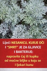 672430316_895250863548904_4396170576053649898_n