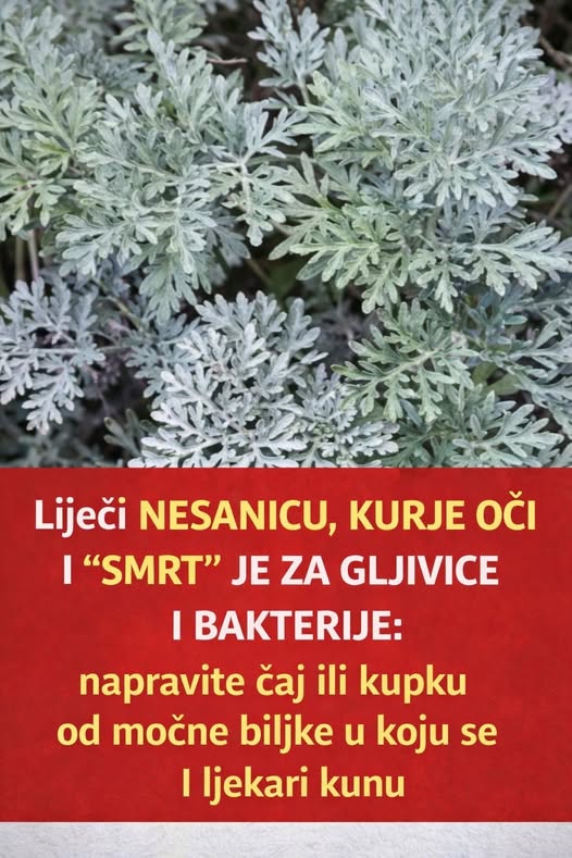 672430316_895250863548904_4396170576053649898_n