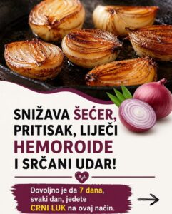 672691289_954871843926132_1565723114964740554_n