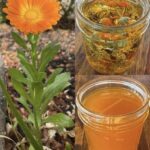 🌼 TEČNO ZLATO – ULJE NEVENA✨ Jedno od najcjenjenijih ulja: 12 razloga zašto je neven izuzetno koristan za kožu, zdravlje i opću njegu!