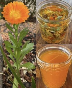 673812395_1535424731279810_7716264152558513451_n