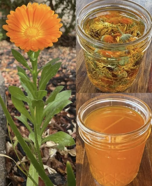 673812395_1535424731279810_7716264152558513451_n