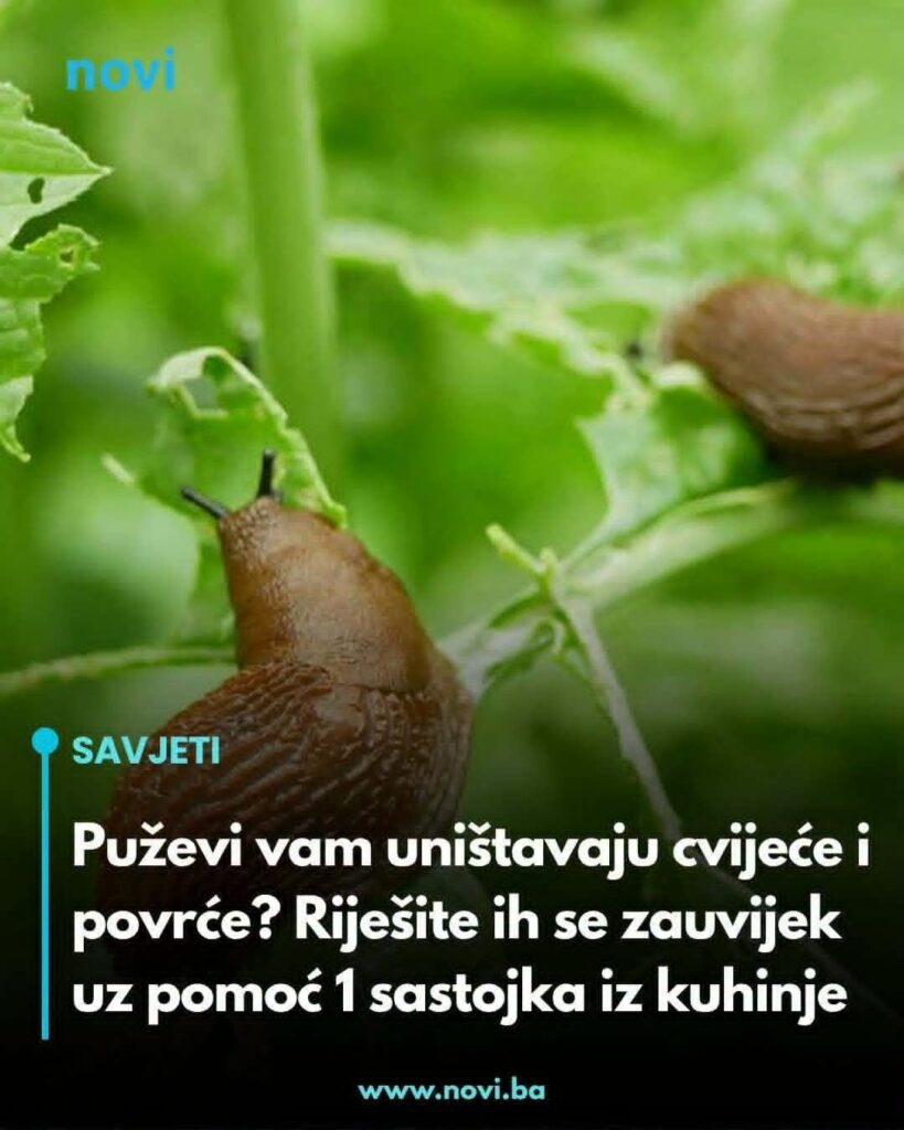 675382570_959325463390780_7008194578017714724_n