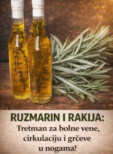 675983940_122158184516720928_2257796994117472696_n (1)