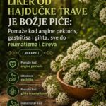 Liker od hajdučke trave: prirodni napitak za probavu i opuštanje
