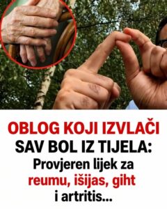 679024042_2636202403442807_4003969362130034490_n