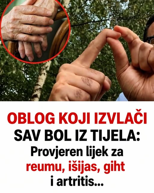 679024042_2636202403442807_4003969362130034490_n