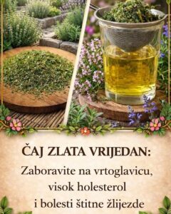 679042505_122156725220729269_7074512426889597374_n