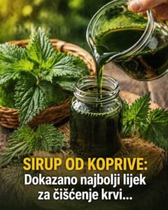 679422822_1509323584087174_7750978284524288299_n