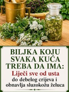 680277532_122158810262720928_5577667536675915549_n