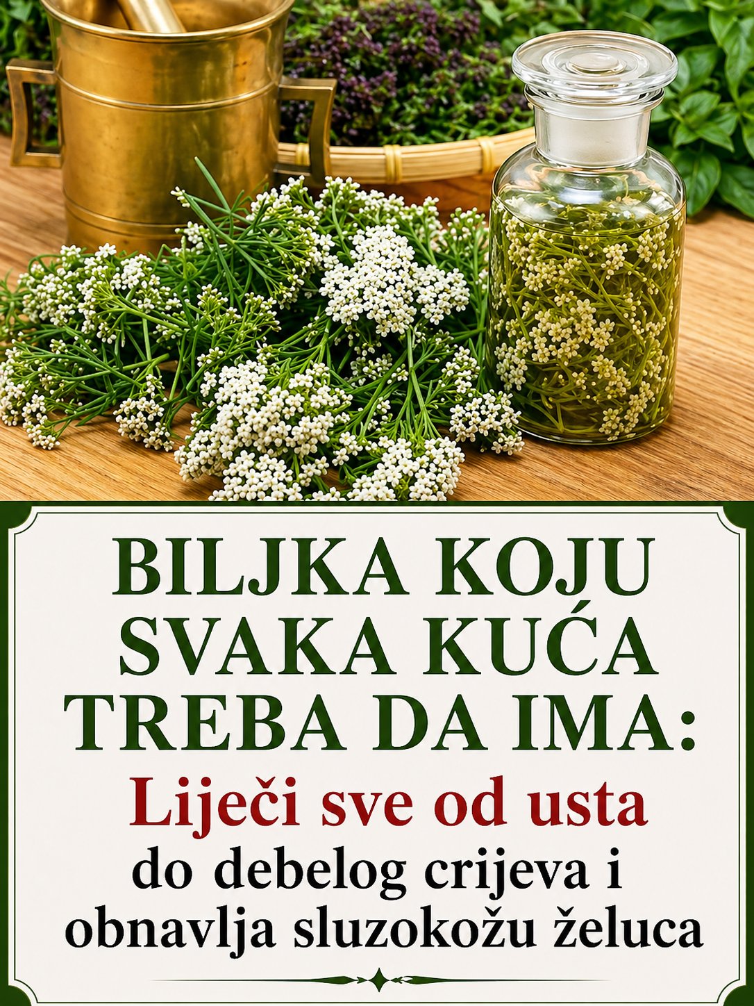 680277532_122158810262720928_5577667536675915549_n