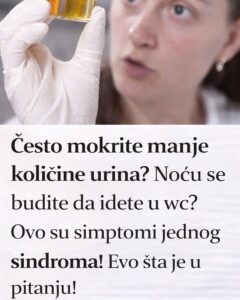 680436314_1517908029696609_1836054184781046914_n