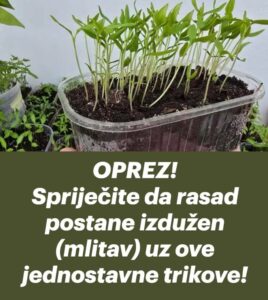 682714944_1541558500869859_6292212096990329400_n