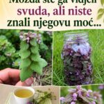 Možda ste je viđali svuda, ali niste znali njenu moć…