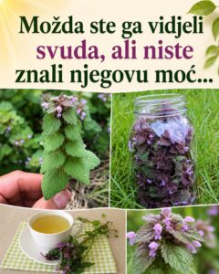 682774489_963673973045919_2173007103993696462_n