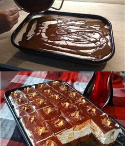 683472378_1013830307839679_5596201112378245930_n