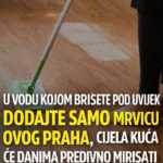 U vodu kojom brišete pod uvijek dodajte samo mrvicu ovog praha, cijela kuća će predivno mirisati