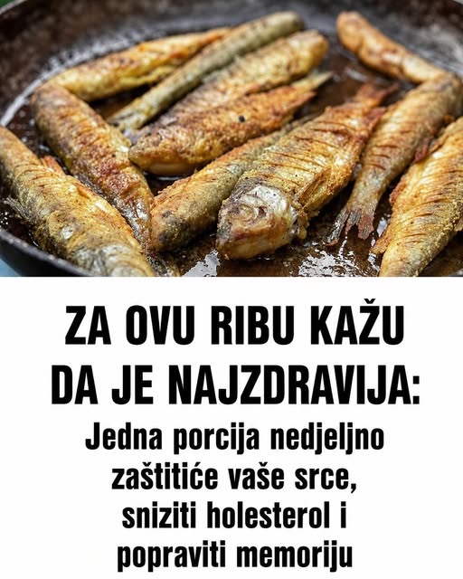 ZA OVU RIBU KAŽU DA JE NAJZDRAVIJA: Jedna porcija nedjeljno zaštitiće vaše srce, sniziti holesterol i popraviti memoriju