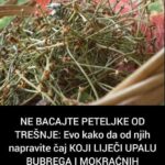 NE BACAJTE PETELJKE OD TREŠNJE: Evo kako da od njih napravite čaj KOJI LIJEČI UPALU BUBREGA I MOKRAĆNIH KANALA (FOTO)