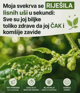 442f6513-e5f0-40bc-a83b-4b08c2b96a99