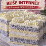 MAK K0CKE K0JE RUŠE INTERNET – jedan zalogaj i gotovi ste!